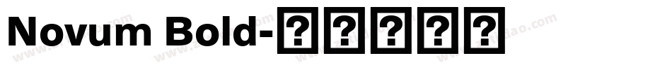 Novum Bold字体转换